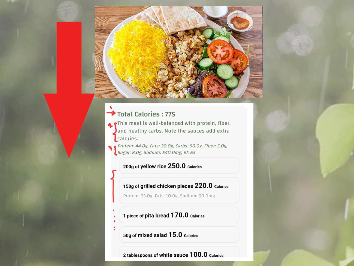 AI calories counter by photo app example from CaloriMate showing meal breakdown with macros and calories.