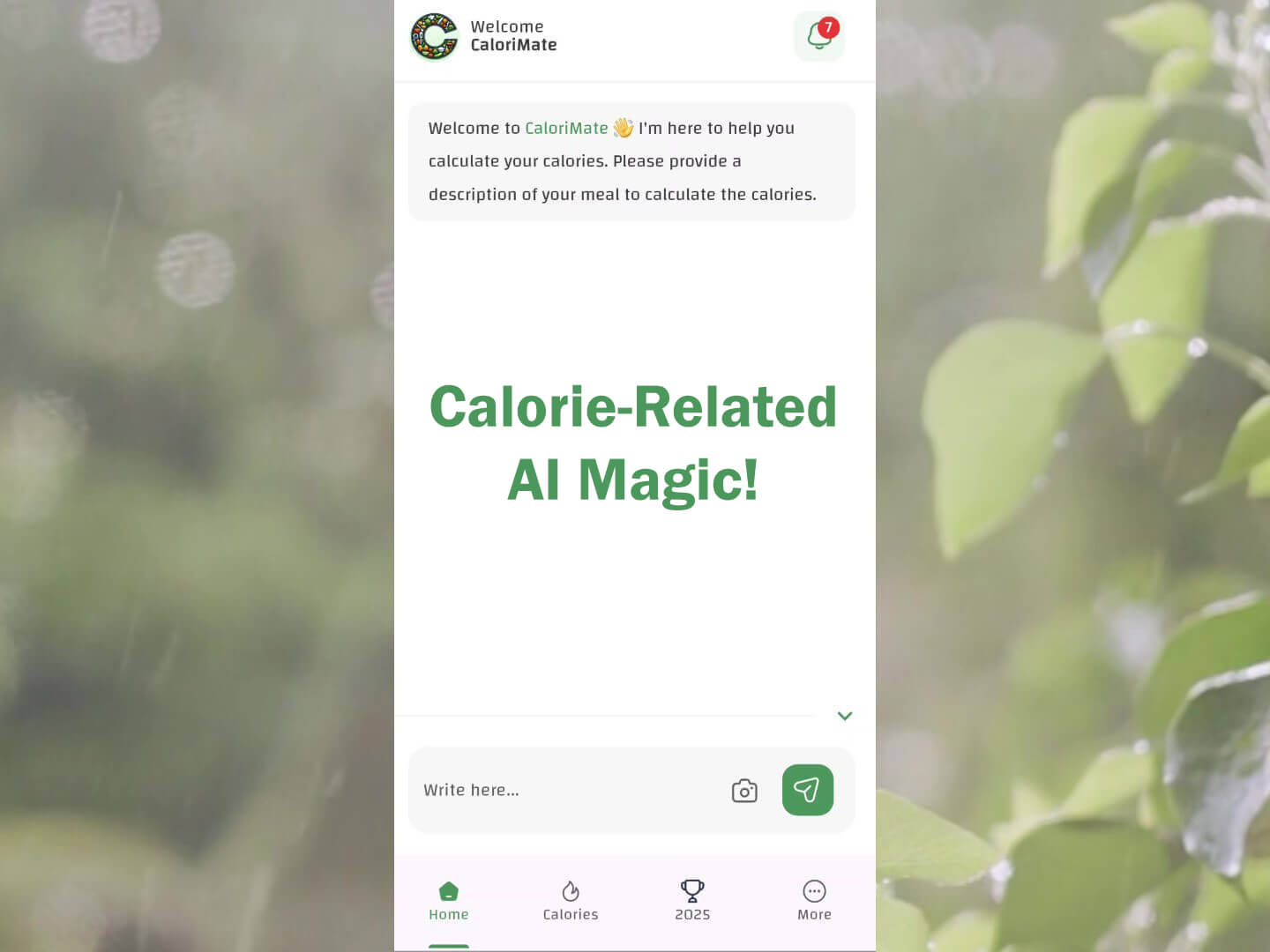 CaloriMate magical text box for instant food and workout logging.